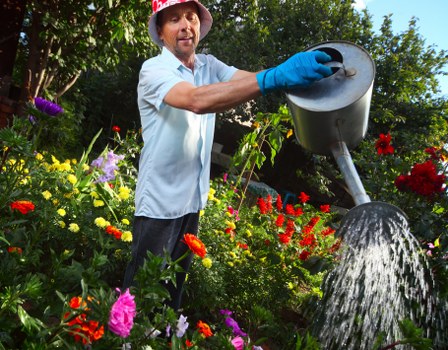 Transparent pricing and waste-rate tree surgery in Northolt